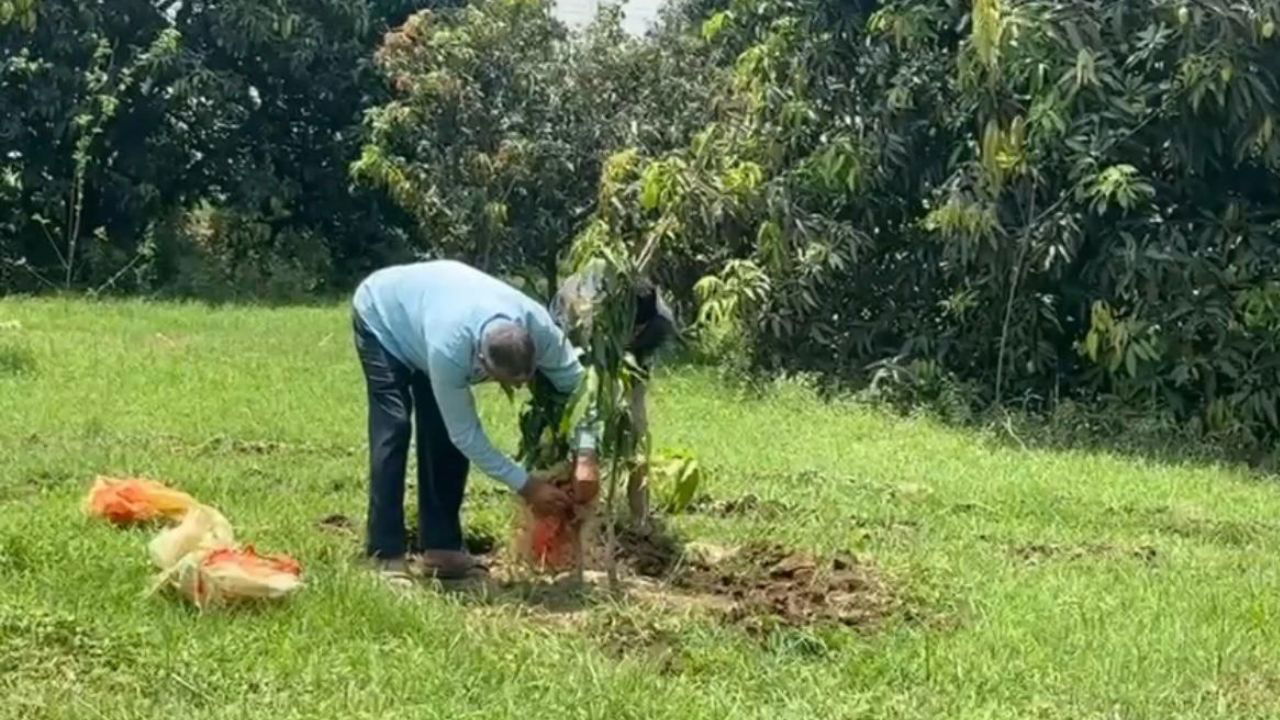 Avnish Tyagi’s mango orchard now spans 40 bighas, producing 22 varieties with a dedicated team by his side (Pic Credit: Avnish).
