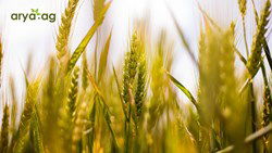 Arya.ag’s NBFC Crosses Rs 2000 Crore Milestone in Commodity Finance, Setting a New Benchmark in Agri Lending