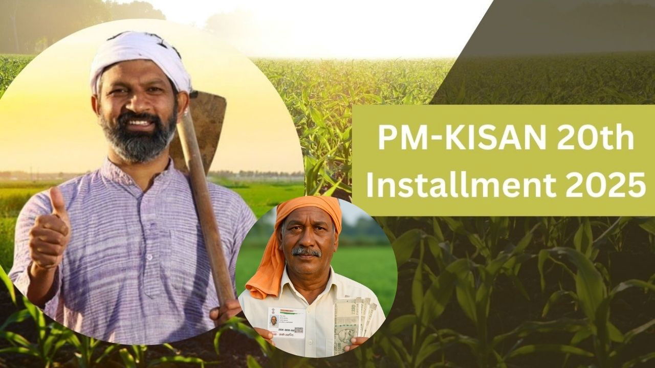 The 19th installment of PM-Kisan transferred over Rs 22,000 crore directly to farmers' bank accounts using the Direct Benefit Transfer (DBT) system. (Representational Photo)