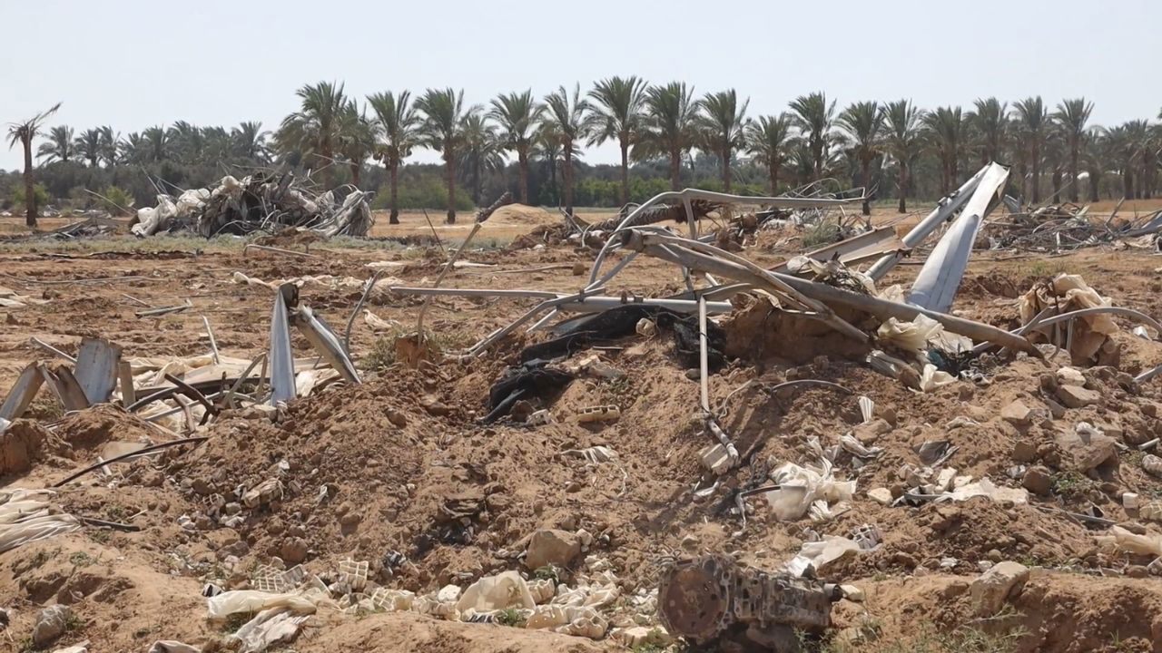 Satellite imagery utilized in the assessment shows that 71.2 percent of greenhouses in Gaza are damaged. (Photo Source: FAO)