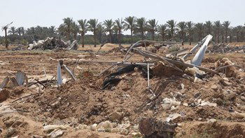 Over 95% of Gaza's Agricultural Land Unusable, Putting Entire Population at Risk of Famine: FAO