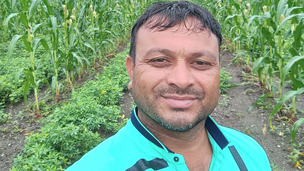 Mahesh farm yields around 1 ton of marigold petals annually, which are now selling in London and other European nations with a niche market. (Pic credit: Mahesh Pipariya)