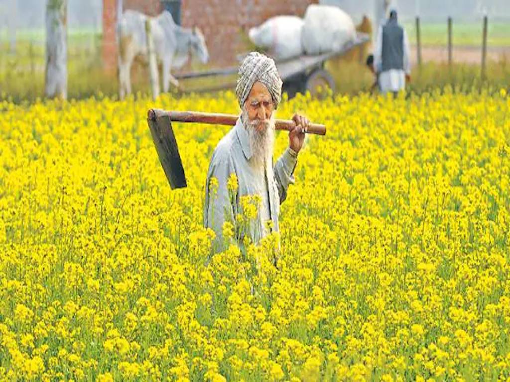 Farmer