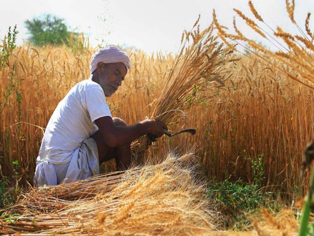 Farmer