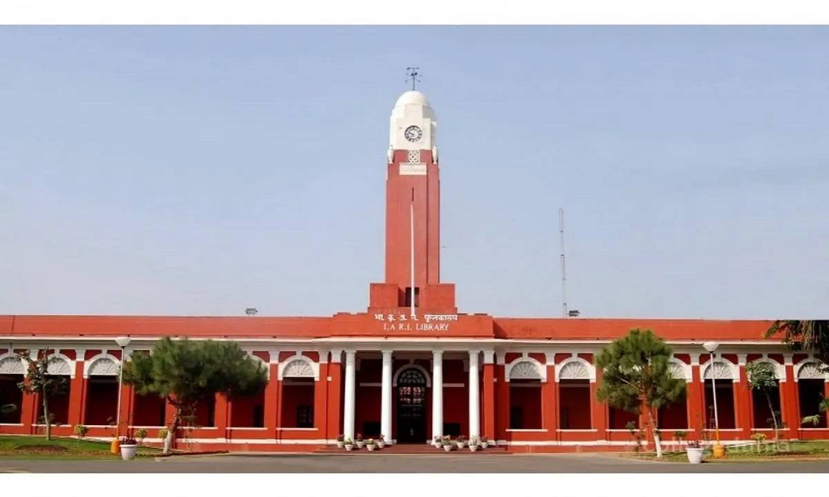 IARI Recruitment for the post of Field Worker & Junior Research Fellow