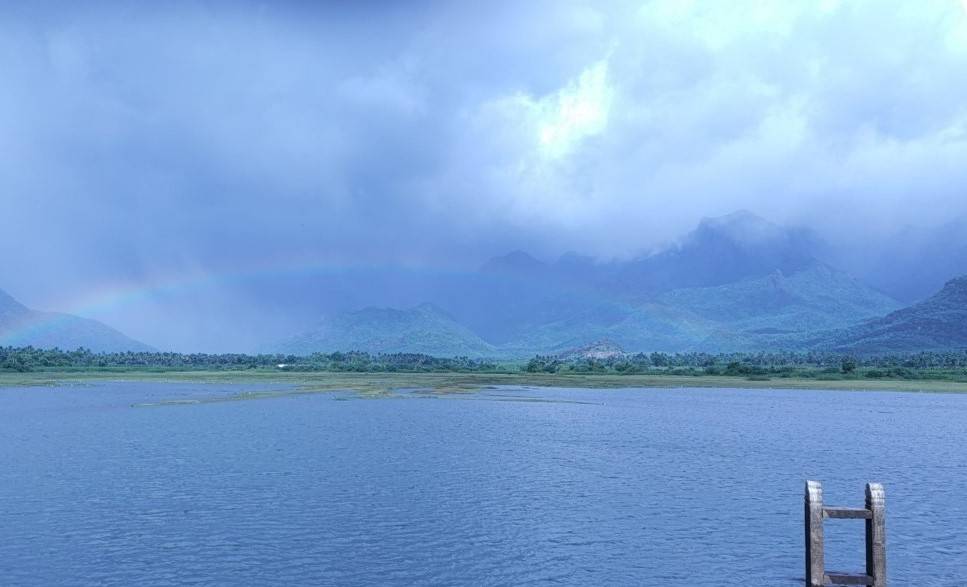 SST has also desilted 7 water bodies in Krishnagiri district inside the forests, with the support of the government