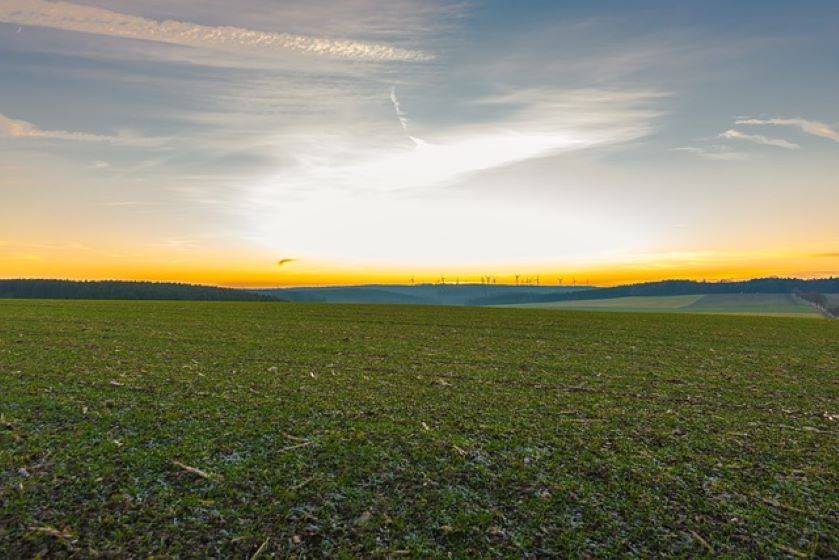 Saudi Arabia Aims to Slash Agri Sector's Liquid Fuel Consumption by 95% (Photo Source: Pixabay)