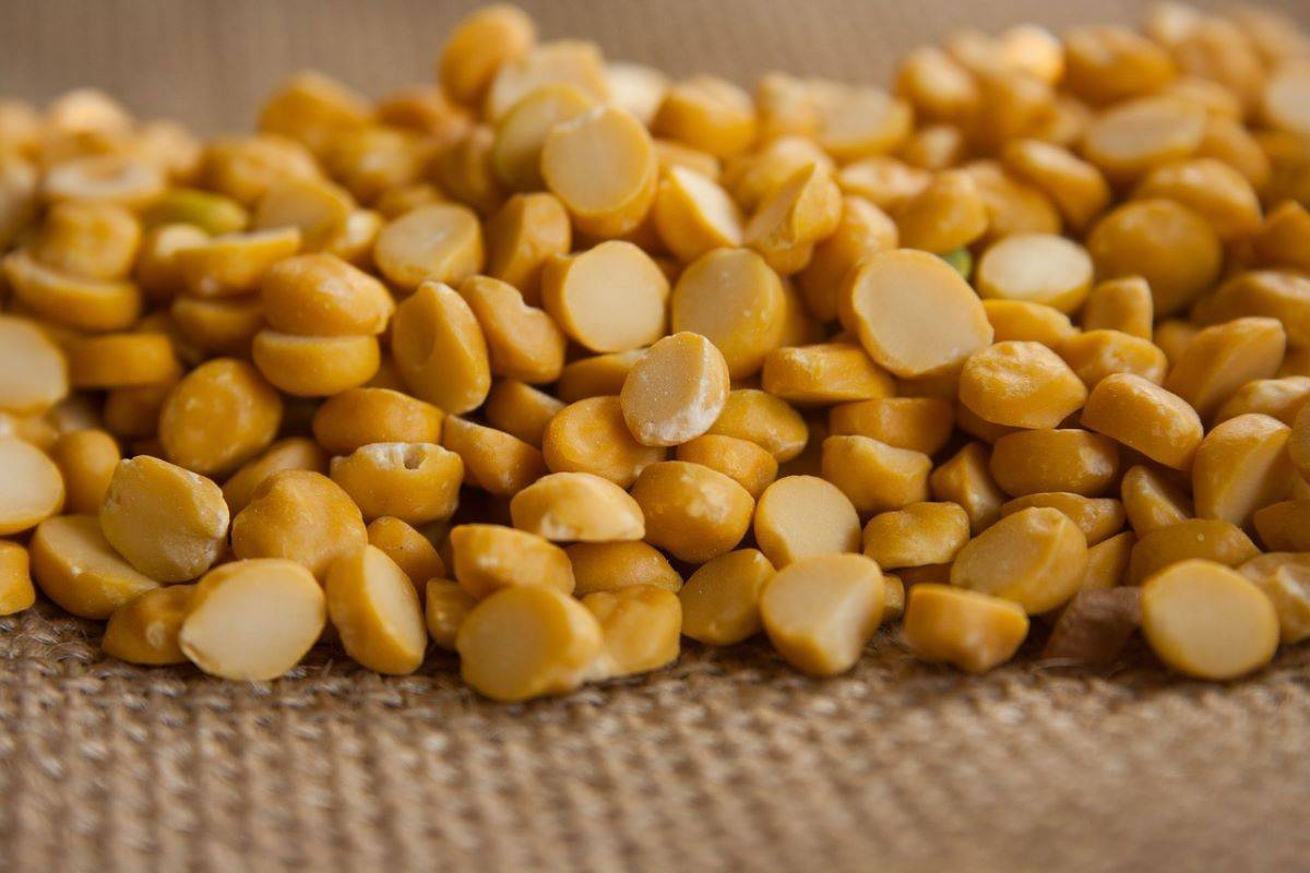 Australian and Brazilian Farmers to Grow Pigeon Peas for Indians (Photo Source: Pixabay)