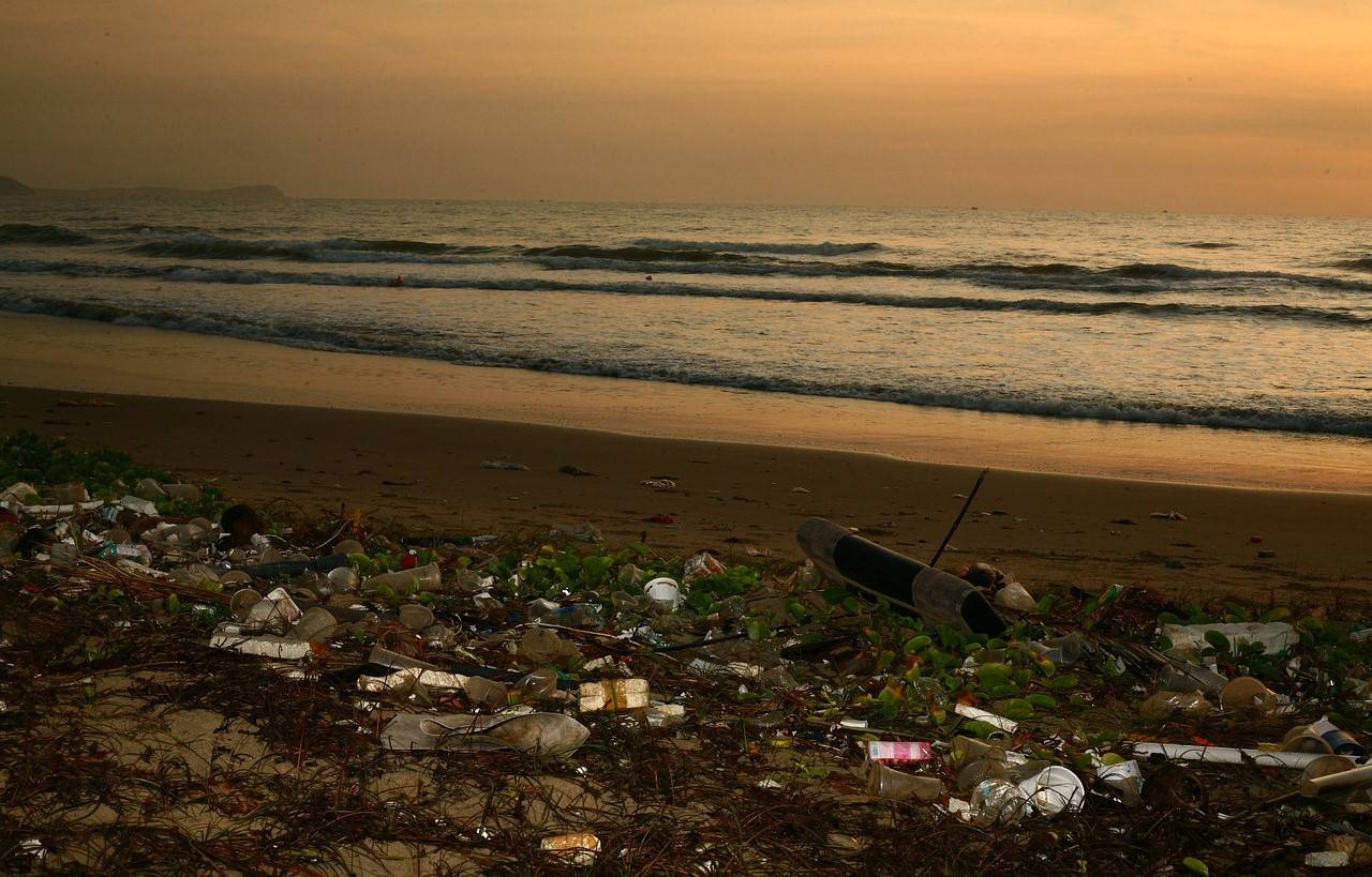 Stronger Legislation Needed to Prevent Environmental Crimes, Says UNODC Report (Photo Source: Pixabay)